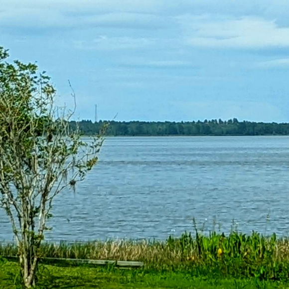 Meet your Posher, Nicole - Picture 1 of 1